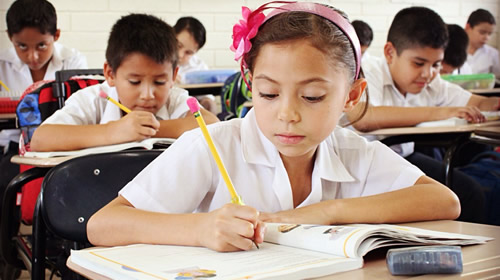 primaria primaria